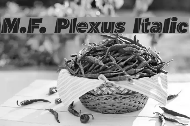 M.F. Plexus Italic Font examples