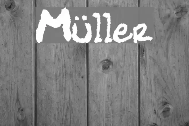 Müller Font examples