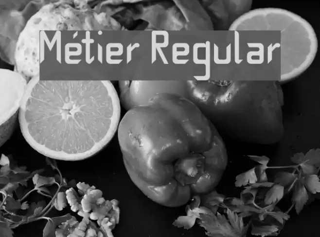 Métier Regular Font examples