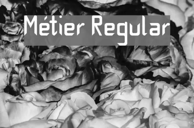 Métier Regular Font examples