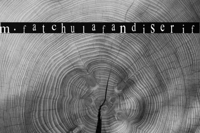 m. fatchul afandi serif Example 3