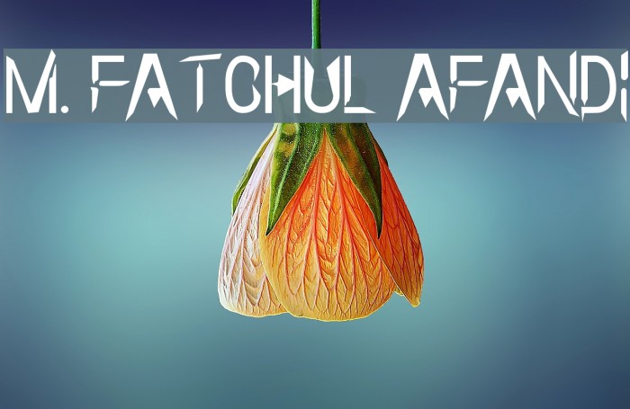 m. fatchul afandi 字体 examples