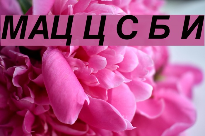 MAC C Swiss Bold Italic Font examples