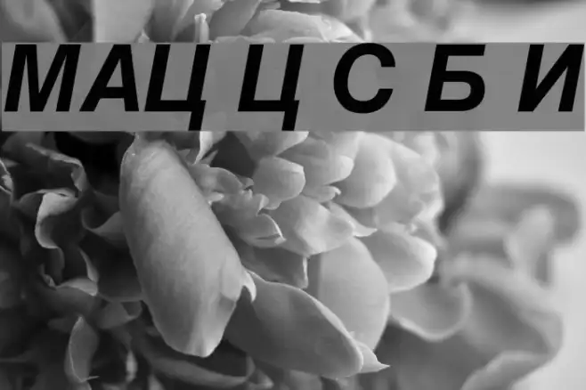 MAC C Swiss Bold Italic Example 3