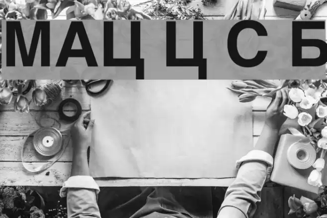 MAC C Swiss Bold Fuentes examples