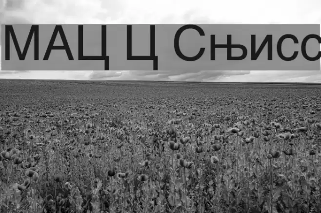 MAC C Swiss Fonte examples