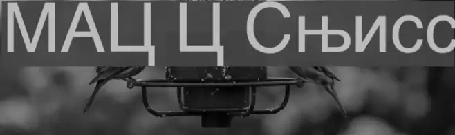 MAC C Swiss Fonte examples