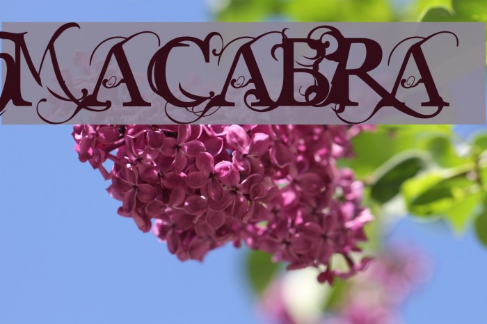 MACABRA Font examples