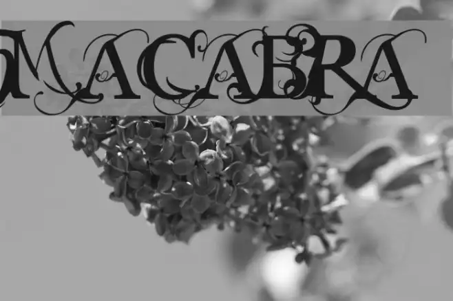 MACABRA Example 3