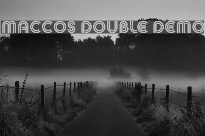 MACCOS DOUBLE Demo Example 2