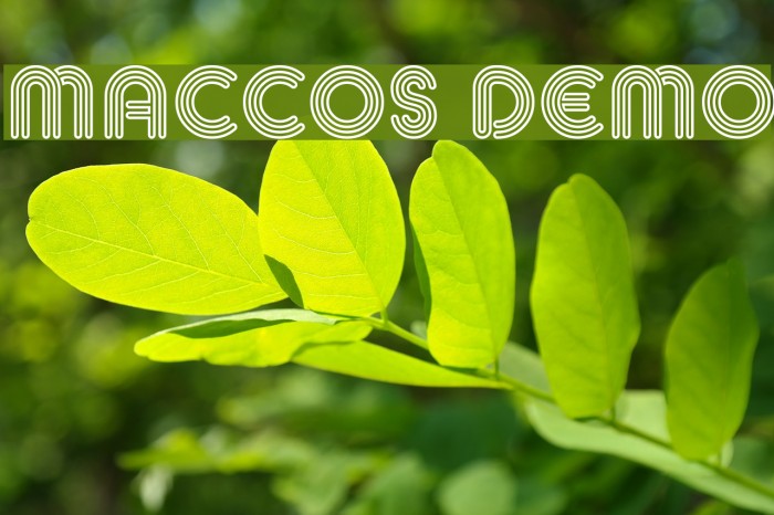 MACCOS Demo Font examples