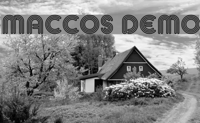 MACCOS Demo Example 3