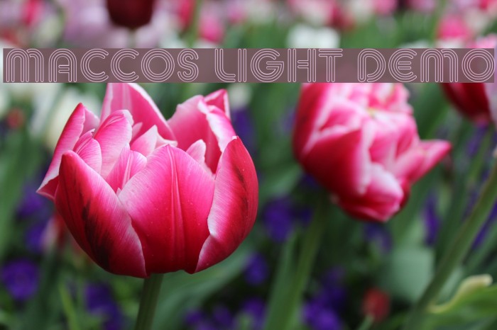 MACCOS LIGHT Demo Font examples