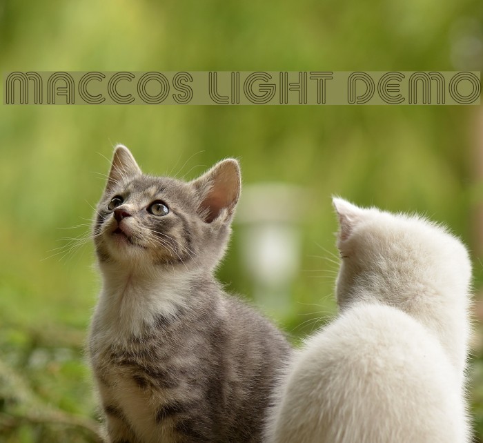 MACCOS LIGHT Demo Font examples