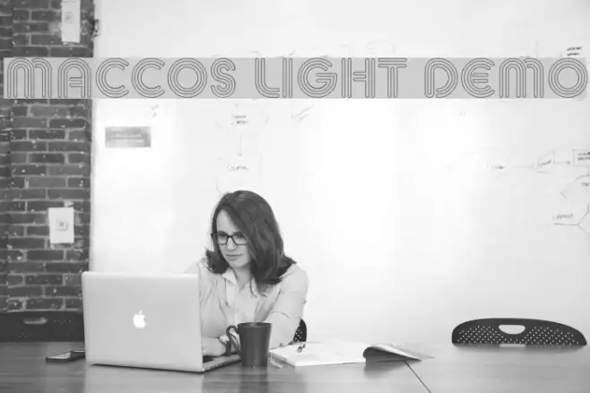 MACCOS LIGHT Demo Example 3