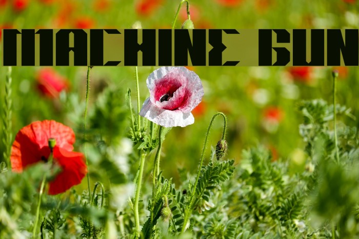 MACHINE GUN Example 3