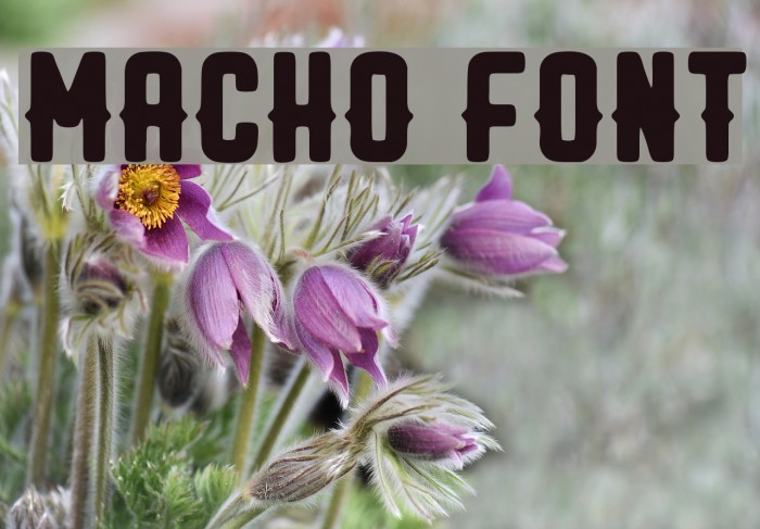 MACHO Font examples