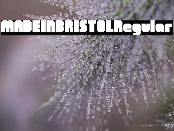 MADE IN BRISTOL Regular Example 2