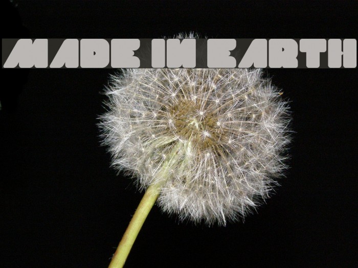 MADE IN EARTH Font examples