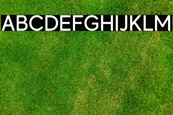 MADEEvolveSans-Medium Example 1