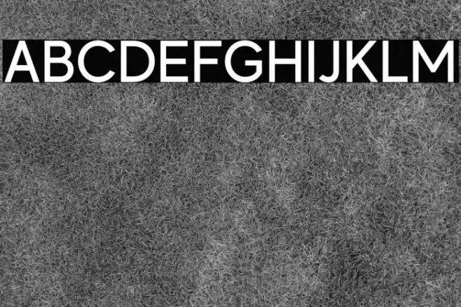 MADEEvolveSans-Medium Font examples