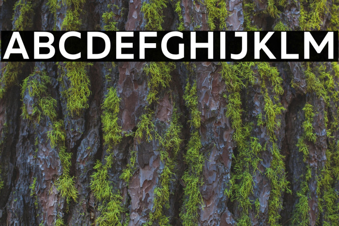 MADEFutureX-Medium Font examples