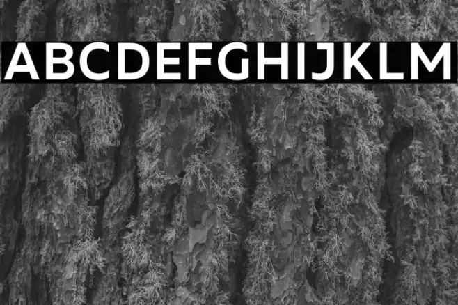MADEFutureX-Medium Example 1