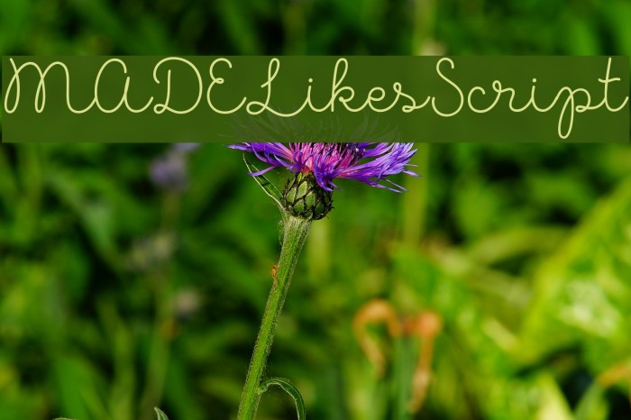 MADELikesScript Fonte examples