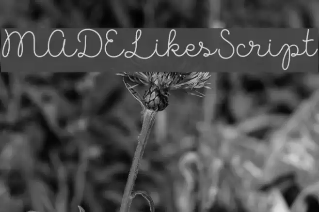 MADELikesScript Шрифта examples