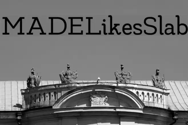 MADELikesSlab Polices examples