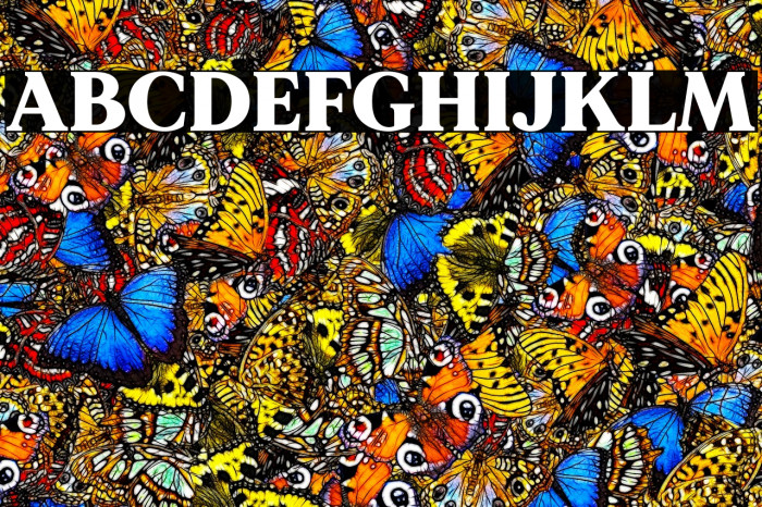 MADEMirage-Black Example 1