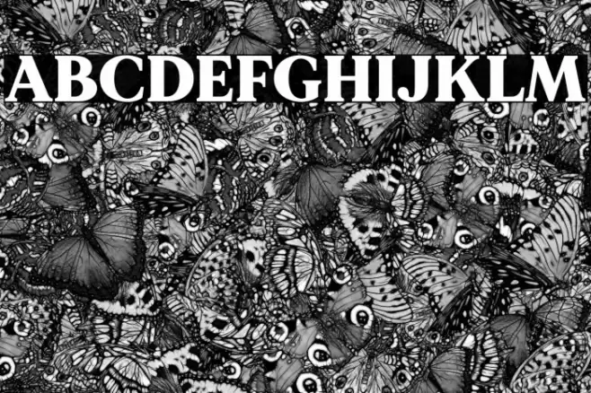 MADEMirage-Black Font examples