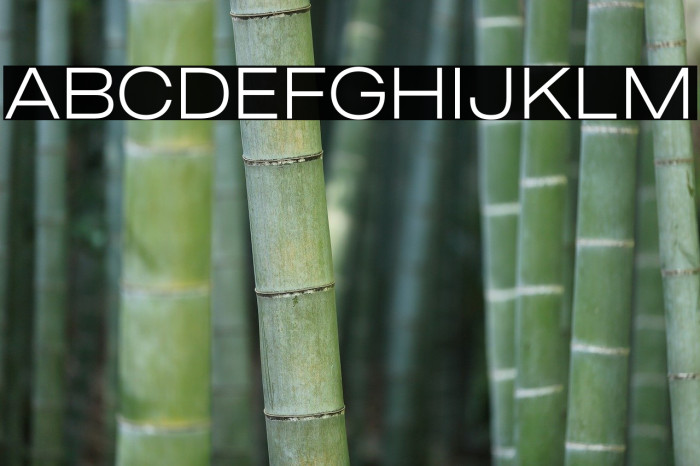 MADEOuterSansAlt-Thin Example 1