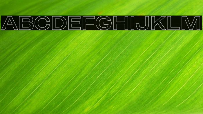 MADEOuterSansOutlineAlt Font examples