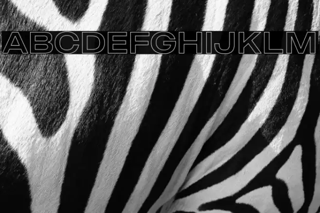 MADEOuterSansOutline Caratteri examples