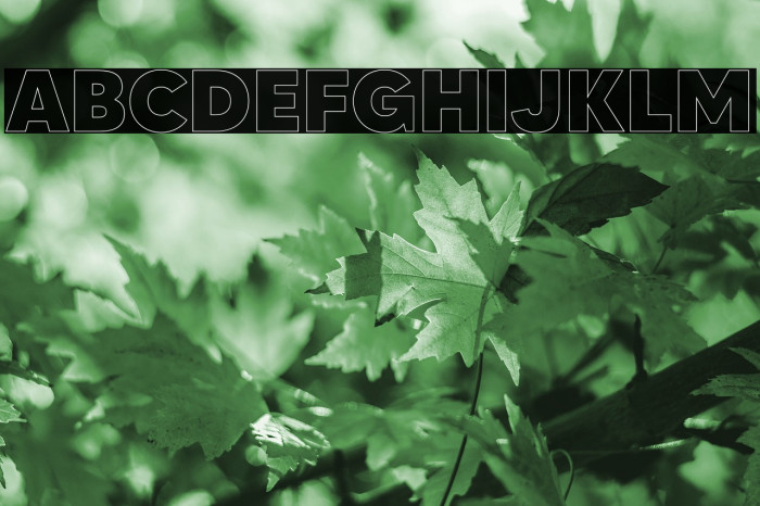 MADETOMMYOutline-ExtraBold Font examples