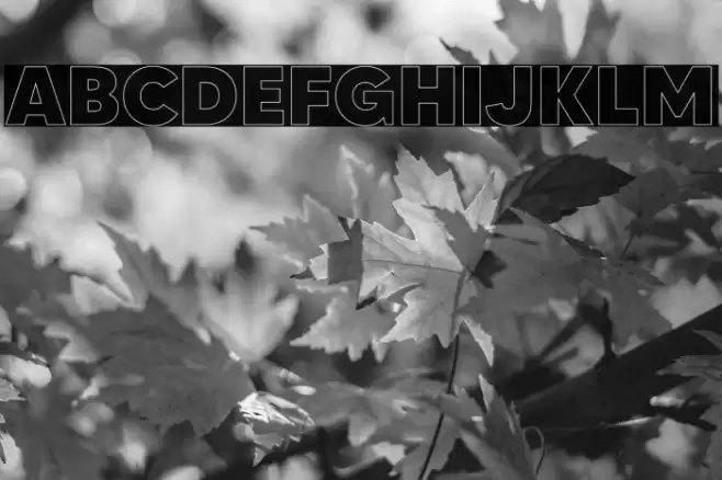 MADETOMMYOutline-ExtraBold Font examples