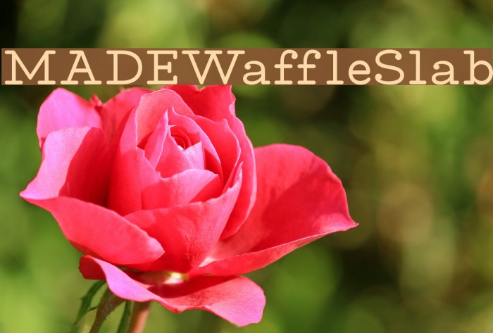 MADEWaffleSlab Font examples