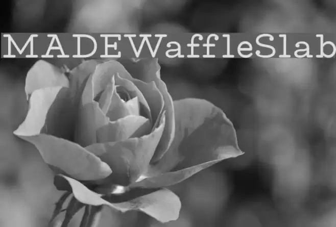 MADEWaffleSlab Polices examples