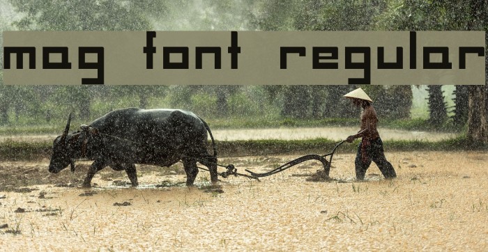 MAG Font Regular Font examples
