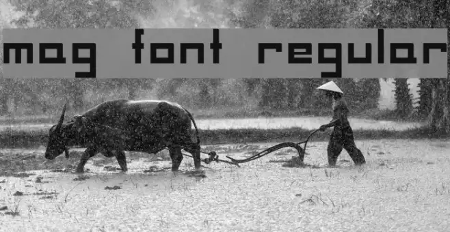 MAG Font Regular Example 1