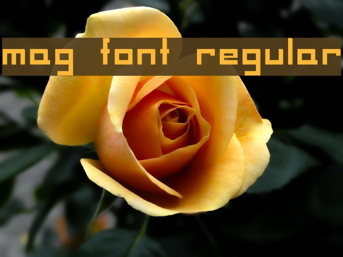 MAG Font Regular Font examples