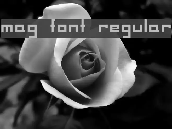 MAG Font Regular Example 3