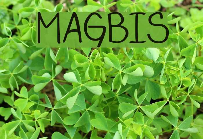 MAGBIS Font examples