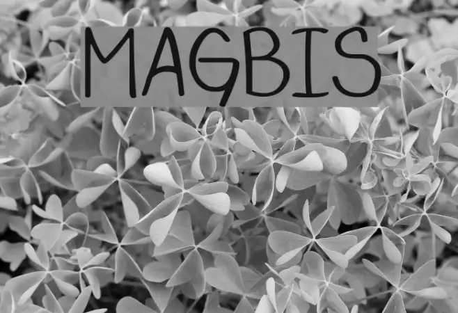 MAGBIS Example 2
