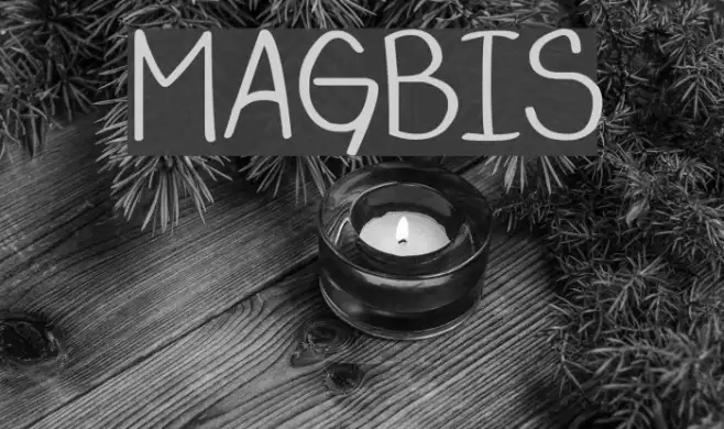 MAGBIS Example 3