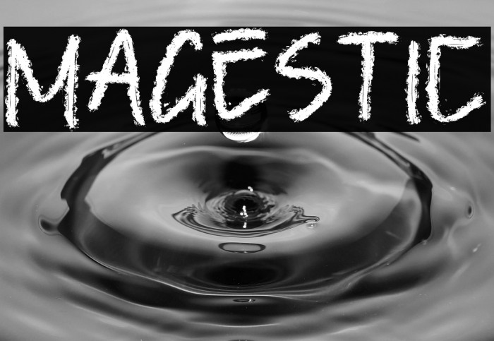 MAGESTIC Example 1