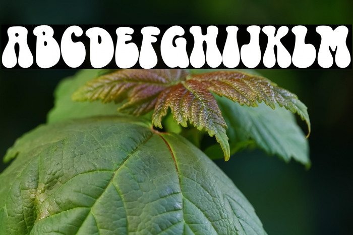 MAGIC SOUL Example 1