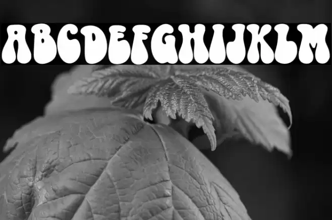 MAGIC SOUL Font examples