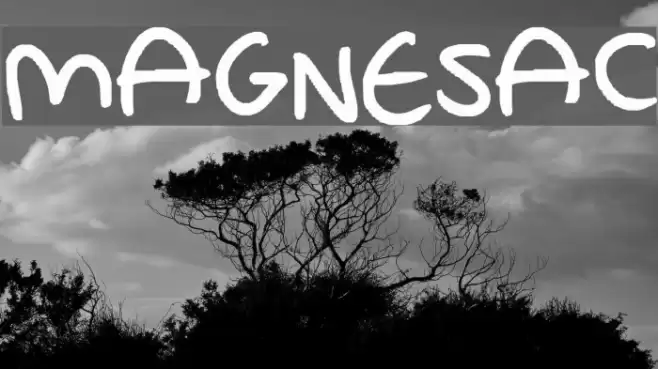 MAGNESAC Font examples